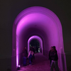 *alt_photos_gallery_image_7*